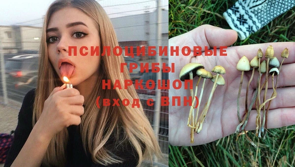 дурь Армянск