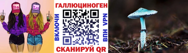 Псилоцибиновые грибы Psilocybine cubensis Нефтекамск